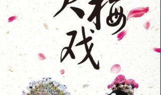 黄梅戏源于哪个地区 黄梅戏起源于哪个省